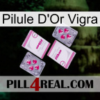 Vigra Gold Pill 33